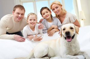 Chicago Cleaning Services | SweepHome Residential & Office Chicago Cleaning Services | SweepHome Residential & Office