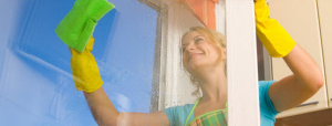 Professional Cleaning Services - Window Cleaning