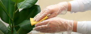 Condo and House Cleaning - Sweep Home Chicago