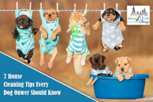 House Cleaning Tips Every Dog Owner Should Know