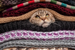 Preparing your Chicago home for winter